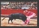 Corrida De Toros - Lance De Capa - Corridas