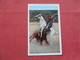 Bull Fight-- Picador & Horse Charged By Bull   ------Juarez Mexico       Ref 3382 - Mexico