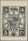 China: 1894, Dowager, About 9 Times Enlarged Black Prints On Ungummed Unwmkd. Western Paper, Cpl. Se - Other & Unclassified