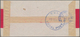 China - Lokalausgaben / Local Post: Wuhu, 1894, Character 20 C. Pale Rose Tied Blue "WUHU 19 NOV 94" - Autres & Non Classés