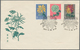 Delcampe - China - Volksrepublik: 1960/61, Chrysanthemums (S44), Complete Set Of 18 Used On 6 Official FDCs, Ti - Sonstige & Ohne Zuordnung