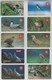 SLOVENIA MOBITEL BIRD SWALLOW PTARMIGAN TERN WOODPECKER CORNCRAKE BUZZURD SHRIKE EAGLE 10 PHONECARDS - Autres & Non Classés