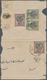 Iran: 1876 'Nasser-eddin Shah Qajar' Issue: Group Of 13½ Stamps (1s.(6), 2s.(4½), 10s.(3)) Plus Two - Iran