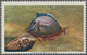 Katar / Qatar: 1965 "Masked Unicornfish" 5n.p., Variety "BLACK OMITTED (denominations And Country)", - Qatar