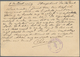 Niederländisch-Indien: 1882, Postal Stationery Card 7 1/2 C Brown Cancelled By Kota Raja Date Stamp - Netherlands Indies