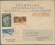 Delcampe - Vietnam-Nord (1945-1975): 1968 (ca.): Mixed Frankings: A) Xunhasaba Letter From 1965 Sent As Printed - Viêt-Nam