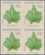 Thematik: Flora, Botanik / Flora, Botany, Bloom: 2008, Barbados. IMPERFORATE Block Of 4 For The 50c - Other & Unclassified