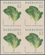 Thematik: Flora, Botanik / Flora, Botany, Bloom: 2008, Barbados. IMPERFORATE Block Of 4 For The $2 V - Andere & Zonder Classificatie