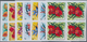 Thematik: Flora-Orchideen / Flora-orchids: 1972, BURUNDI: Orchids Complete Set Of 11 Stamps In IMPER - Orchids