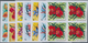 Thematik: Flora-Orchideen / Flora-orchids: 1972, BURUNDI: Orchids Complete Set Of 11 Stamps In IMPER - Orchideeën