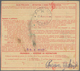 Thematik: Pilze / Mushrooms: JUGOSSLAVIA. 1937. 25p Red/yellowish Parcel Card Accompanying A Heavy P - Mushrooms