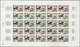 Delcampe - Thematik: Sport-Pferdesport / Sport Equestrian Sports: 1970, Afars And Issas. Lot Of 3 Different Col - Horses