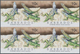 Thematik: Tiere-Reptilien / Animals-reptiles: 2005, Barbados. IMPERFORATE Block Of 4 For The 10c Val - Andere & Zonder Classificatie