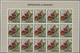 Thematik: Tiere-Schmetterlinge / Animals-butterflies: 1968, BURUNDI: Butterflies Complete Set Of 16 - Butterflies