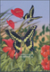 Thematik: Tiere-Schmetterlinge / Animals-butterflies: 2004, Dominica. IMPERFORATE Souvenir Sheet For - Butterflies