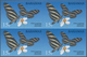 Thematik: Tiere-Schmetterlinge / Animals-butterflies: 2008, Bahamas. IMPERFORATE Block Of 4 For The - Butterflies