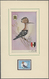 Thematik: Tiere-Vögel / Animals-birds: 1976. An Exceptional Series Of 5 Original Gouache Paintings ( - Andere & Zonder Classificatie