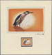 Thematik: Tiere-Vögel / Animals-birds: 1976. An Exceptional Series Of 5 Original Gouache Paintings ( - Otros & Sin Clasificación