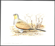 Thematik: Tiere-Vögel / Animals-birds: 1996, TAJIKISTAN: Threatened BIRDS Set Of Six Different Origi - Sonstige & Ohne Zuordnung