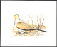 Thematik: Tiere-Vögel / Animals-birds: 1996, TAJIKISTAN: Threatened BIRDS Set Of Six Different Origi - Other & Unclassified