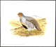 Delcampe - Thematik: Tiere-Vögel / Animals-birds: 1996, TAJIKISTAN: Threatened BIRDS Set Of Six Different Origi - Other & Unclassified