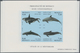 Thematik: Tiere-Meeressäuger (u.a. Wale) / Animals-aquatic Mammals: 1992/1994, MONACO: Whales And Do - Andere & Zonder Classificatie