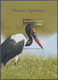 Thematik: Tiere-Wasservögel / Animals-water Birds: 2006, Togo. IMPERFORATE Souvenir Sheet For The Is - Autres & Non Classés