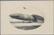 Thematik: Zeppelin / Zeppelin: 1912 (ca). Original And Very Scarce Private, Period Real Photograph P - Zeppelines
