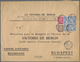 Ägypten: 1910 Printed "Papiers D'Affairs (Business Papers)" Envelope Used From Cairo To Budapest, Fr - 1866-1914 Khedivaat Egypte