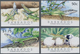 Barbados: 2005. Complete Set "Barbados Anolis, Endemic Lizard Species" (4 Values) In IMPERFORATE Sin - Barbados (1966-...)