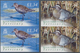 Britisches Territorium Im Indischen Ozean: 2004, Bird Definitives Complete Set Of Twelve In Vertical - Andere & Zonder Classificatie