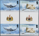 Britisches Territorium Im Indischen Ozean: 2005, Sharks And Rays Complete Set Of Eight In Vertical I - Other & Unclassified