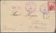 Hawaii: 1895, 5 C Rose Lake, Tied By Violet Triple Circle Dater HILO / HAWAII, SEP.16.1895, Single F - Hawaii