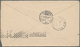 Hawaii: 1895, 5 C Rose Lake, Tied By Violet Triple Circle Dater HILO / HAWAII, SEP.16.1895, Single F - Hawaii