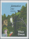 Jamaica: 1995, Jamaica. IMPERFORATE Souvenir Sheet For The BIRD Series Showing "Jamaican Pennant Hum - Jamaica (1962-...)