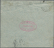 Samoa: 1891, SAMOA-USA COMBINATION LETTER, J.Davis Private Mail ½d. Brown-lilac And 2d. Orange On Co - Samoa