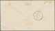 Samoa: 1895, 1s. Rose-carmine Diagonally Bisected On Cover From "APIA 19 MY 95" To Auckland With Arr - Samoa