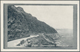 Delcampe - Südafrika - Ganzsachen: 1927, 22 Different Pictorial Stat. Postcards Springbok ½d. Green/black With - Otros & Sin Clasificación
