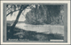 Delcampe - Südafrika - Ganzsachen: 1927, 22 Different Pictorial Stat. Postcards Springbok ½d. Green/black With - Andere & Zonder Classificatie