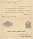 Delcampe - Vereinigte Staaten Von Amerika - Ganzsachen: 1908/22 Three Postal Stationery Postcards, Double Cards - Other & Unclassified