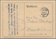 Brieftaubenpost: 1942, Feldpostkarte Mit Truppenstempel Der "Nachr.-Ers.-Abt.17 Wien" Von WIEN 89, 1 - Duiven En Duifachtigen