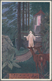 Zeppelinpost Deutschland: 1929. God Comes From The Forest Postcard Flown On The Graf Zeppelin LZ127 - Correo Aéreo & Zeppelin