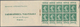 Frankreich - Markenheftchen: 1924/1926: Mineraline Booklet, Complete, Panel Of 10 Luxury Stamps, Adv - Andere & Zonder Classificatie