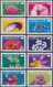 Gibraltar: 2004/2006. Wildflowers: The Complete Set (13 Values) And Also The Complete Additional Set - Gibilterra