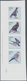 Irland: 2010, Birds Of Prey, IMPERFORATE Proof Se-tenant Strip Of Four On Watermarked Paper, Mint Ne - Brieven En Documenten