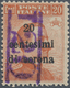 Italienische Besetzung 1918/23 - Trentino: 1918/1919:20 C Orange Of Italian Definitives, Overprinted - Trente