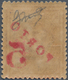 Italienische Besetzung 1918/23 - Trentino: 1918/19: Postage Due Provisionals. Bozen/Bolzano 3. 2c Re - Trento