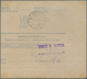 Jugoslawien: 1919. Old Austrian 12h Blue/white Trilingual Vale Declared COD Parcel Card Accompanying - Other & Unclassified