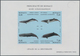 Monaco: 1992/1994, Whales And Dolphins Set Of Three Different IMPERFORATE Miniature Sheets, Mint Nev - Ungebraucht