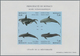 Delcampe - Monaco: 1992/1994, Whales And Dolphins Set Of Three Different IMPERFORATE Miniature Sheets, Mint Nev - Neufs